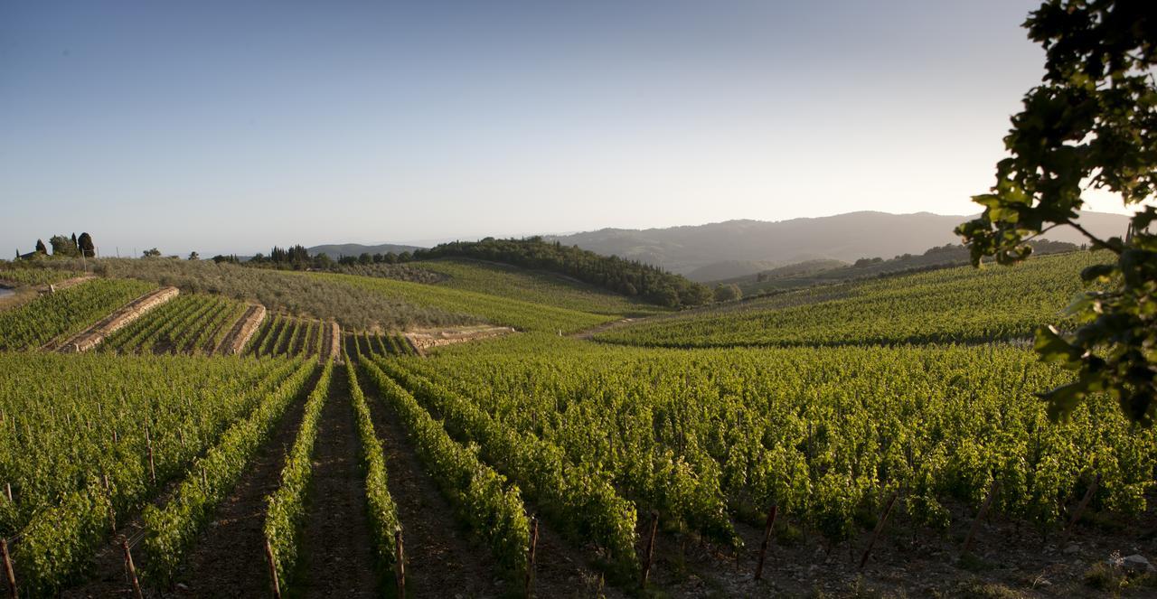 Le Suites Di Castello Di Ama Gaiole in Chianti Bagian luar foto